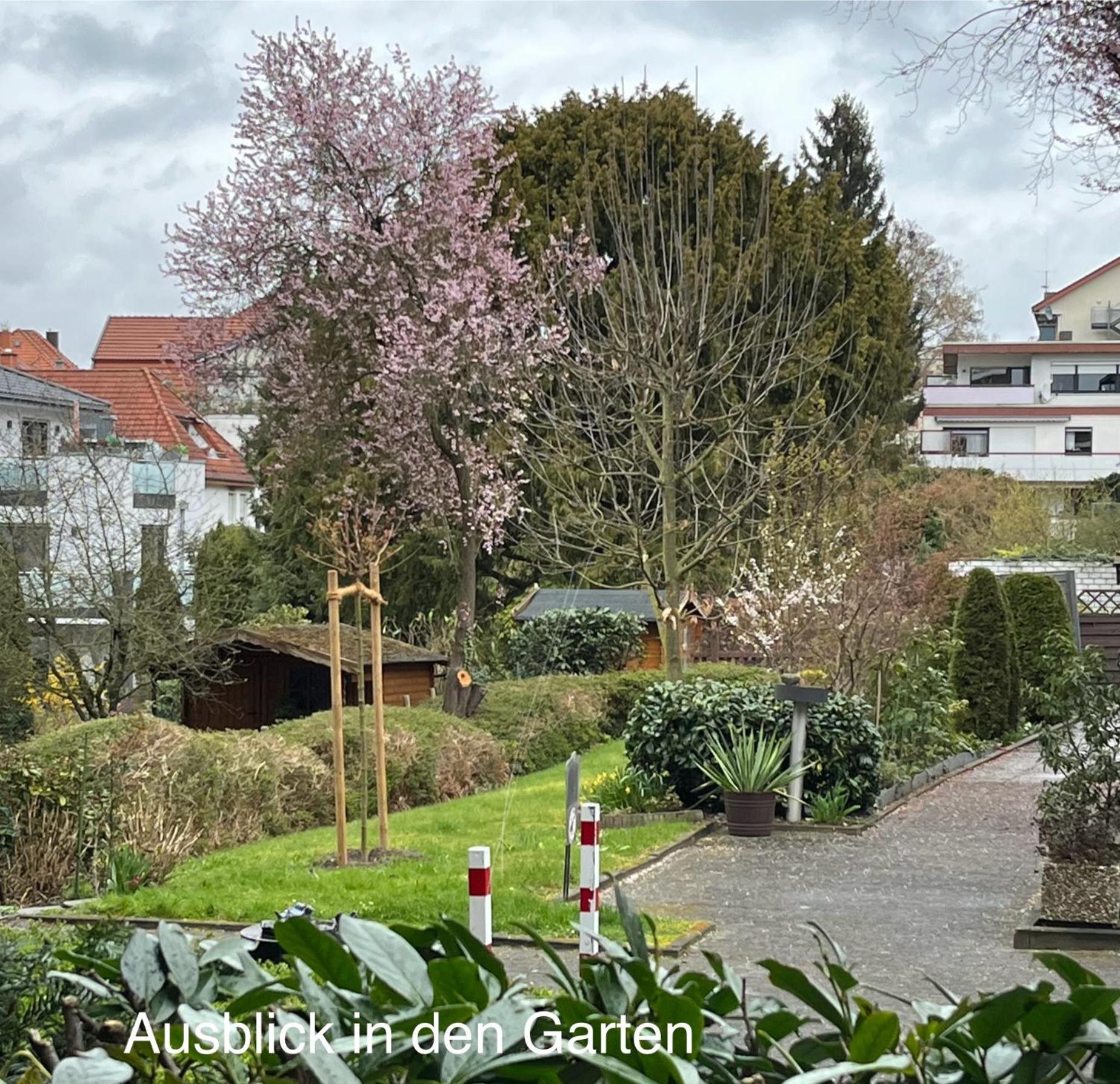 Appartementresidenz Am Kurpark - Ferienwohnungen Mit Pool & Sauna & Garage Bad Salzuflen Quarto foto